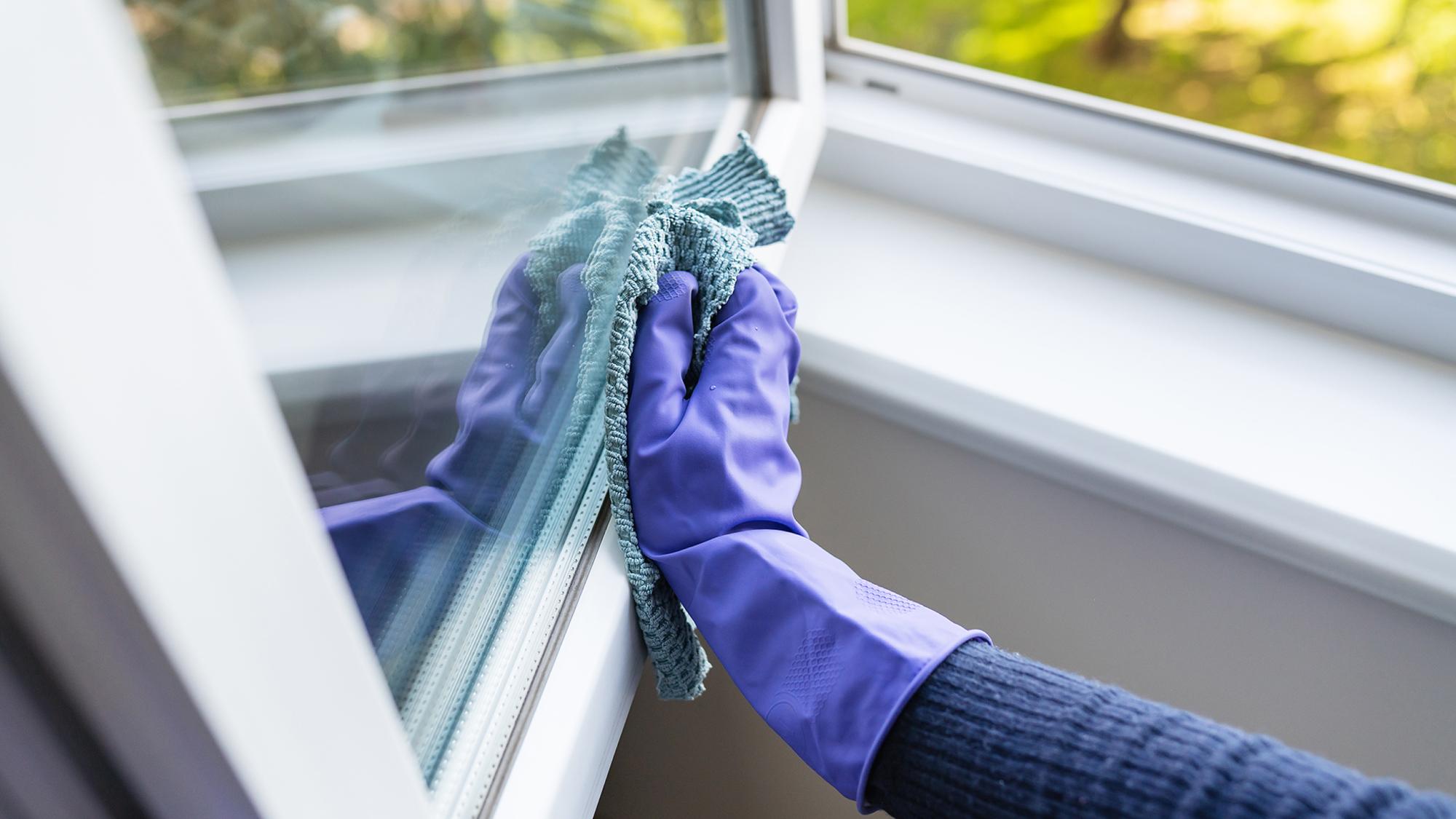 A person wearing purple rubber gloves is cleaning a window with a cloth, with a view of greenery outside.